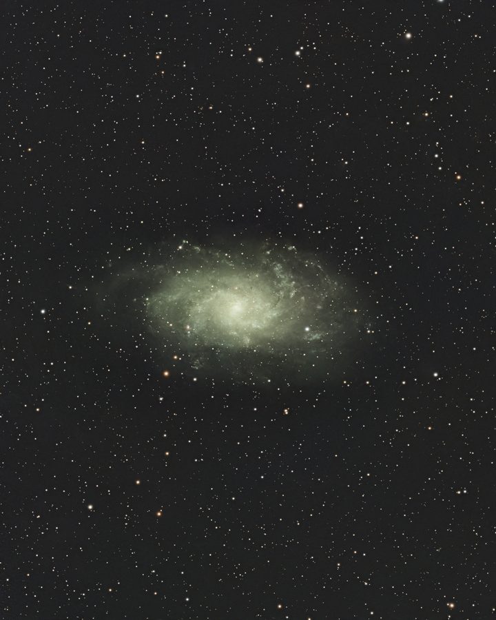 M 33 — The Triangulum Galaxy, photographed with a Seestar and finished in Nocturne