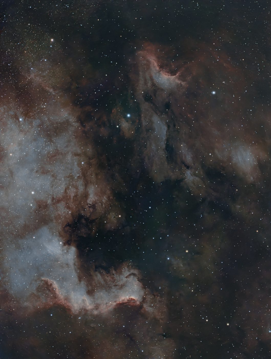 NGC 7000 processed in Nocturne